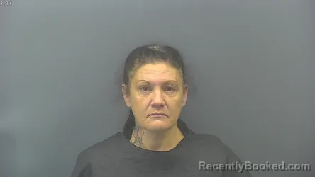Mugshot of NATASHA MARIE SHEETS booked in Blackford County, Indiana on July 29, 2026