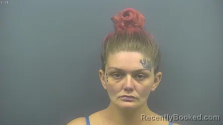 Mugshot of Meghan Barnett booked in Blackford County, Indiana on August 16, 2026