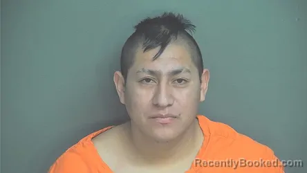 Mugshot of Hugo E Ramos Perez