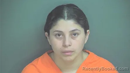 Mugshot of Jhoselin Mejia Orellana booked in Boone County, Indiana on June 25, 2026