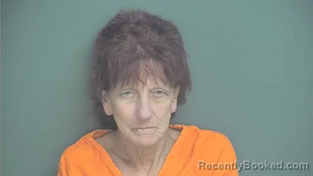 Mugshot of Lisa K Ferch booked in Boone County, Indiana on August 19, 2026