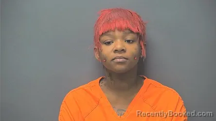 Mugshot of Jayla Cook booked in Boone County, Indiana on August 29, 2026
