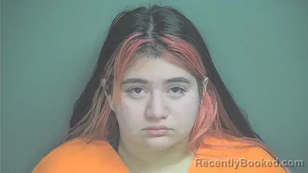 Mugshot of Seiddy Arias Ramos booked in Boone County, Indiana on October 6, 2026