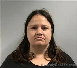Mugshot of Callie Louise Elizabeth Jones booked in Haywood County, North Carolina on August 23, 2026