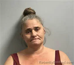 Mugshot of Tina Gibson
