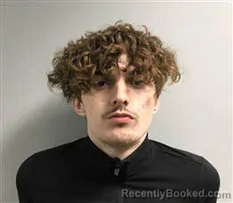 Mugshot of Austin Lee Miller