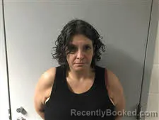 Mugshot of Bobbi LEE Workman booked in Haywood County, North Carolina on March 19, 2026