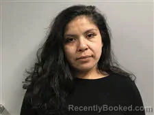Mugshot of Tyler Jacinta Rivera booked in Haywood County, North Carolina on March 25, 2026