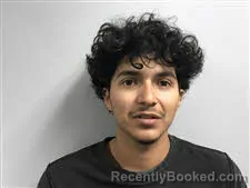 Mugshot of LUIS ARAMDO CAMPOS booked in Haywood County, North Carolina on March 28, 2026