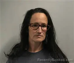 Mugshot of STEPHANIE PHILLIPS booked in Haywood County, North Carolina on April 4, 2026