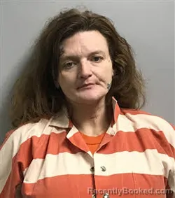 Mugshot of ASHLEY NICHOLE HILL booked in Haywood County, North Carolina on May 20, 2026