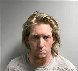 Mugshot of Tanner Lee Williamson booked in Haywood County, North Carolina on June 1, 2026