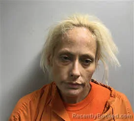 Mugshot of Brittanie Laurel Dunn booked in Haywood County, North Carolina on June 22, 2026