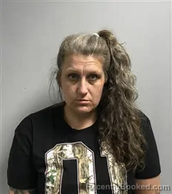 Mugshot of BRITTANY SHERMAN WALSH booked in Haywood County, North Carolina on July 30, 2026