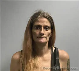 Mugshot of Cynthia Mashburn booked in Haywood County, North Carolina on August 17, 2026