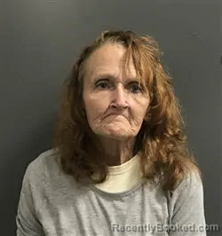 Mugshot of Janice Leigh Taylor booked in Haywood County, North Carolina on October 9, 2026