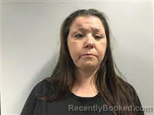 Mugshot of Tammy Smith Gibson booked in Haywood County, North Carolina on March 19, 2026