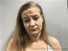 Mugshot of Michelle Elizabeth McElrath booked in Haywood County, North Carolina on April 8, 2026