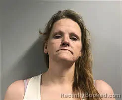 Mugshot of Julia Pauline Silvers booked in Haywood County, North Carolina on August 25, 2026