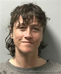 Mugshot of Colleen Naomi Banks booked in Haywood County, North Carolina on April 9, 2026