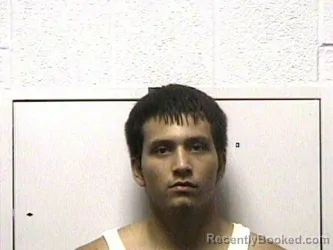 Mugshot of Tanner Morningeagle Larch booked in Haywood County, North Carolina on July 6, 2026
