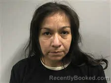 Mugshot of Robyn Lynn Locust