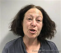 Mugshot of Hallea Danyell Reece booked in Haywood County, North Carolina on April 2, 2026