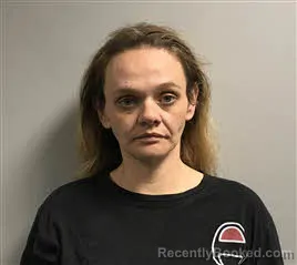 Mugshot of Kimberly Elaine Carpenter
