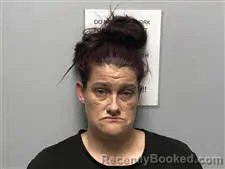 Mugshot of Stacy Leigh Gibson booked in Haywood County, North Carolina on March 30, 2026