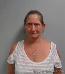 Mugshot of Stephanie Buchanan Tolley booked in Haywood County, North Carolina on July 2, 2026
