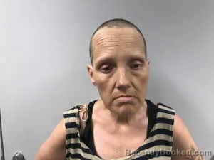 Mugshot of Keisha Leigh Ramsey booked in Haywood County, North Carolina on May 11, 2026