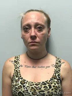 Mugshot of Emma Britnee Joy Alvis Rhinehart booked in Haywood County, North Carolina on June 27, 2026
