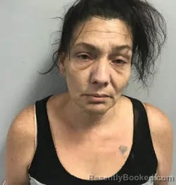 Mugshot of Mary Jane Woodring booked in Haywood County, North Carolina on May 10, 2026