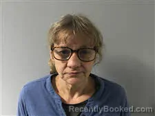 Mugshot of Christine Steiner booked in Haywood County, North Carolina on July 15, 2026