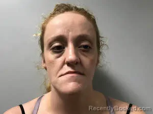 Mugshot of Subrina Renee Hill booked in Haywood County, North Carolina on May 28, 2026