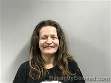 Mugshot of Kelly Elizebeth Wise-Mason booked in Haywood County, North Carolina on May 8, 2026