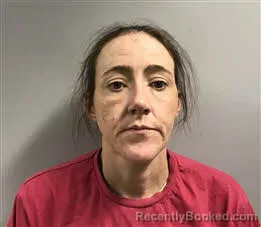 Mugshot of Vanessa Elizabeth Dotson booked in Haywood County, North Carolina on March 22, 2026