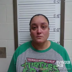 Mugshot of HAYDEE MINDY ORTIZ