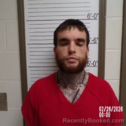 Mugshot of Ethen Alik Robertson