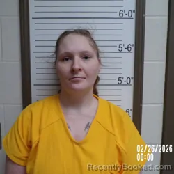 Mugshot of Ashlee Weber