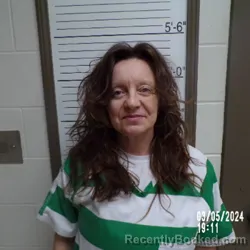 Mugshot of Alisha R Shirley