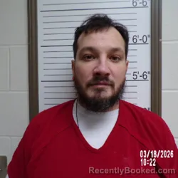 Mugshot of DAVID ANTHONY MICHAEL STITZEL