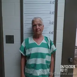 Mugshot of STACEY ELIZABETH STINSON booked in Brown County, Indiana on April 12, 2026