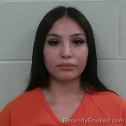 Mugshot of Breanna R Spotted Eagle booked in Carroll County, Indiana on June 16, 2026