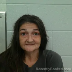 Mugshot of Kimberly S Wyatt booked in Carroll County, Indiana on July 28, 2026
