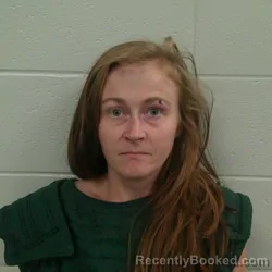 Mugshot of Desiree Dawn Kelly booked in Carroll County, Indiana on October 3, 2026