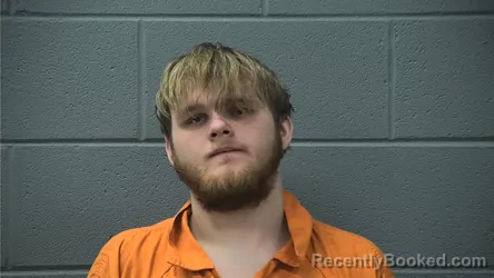 Mugshot of EVERETT DAKOTA LEE JR WILSON booked in Cass County, Indiana on March 29, 2026