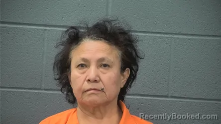 Mugshot of EMMA GARCIA DE MEDRANO booked in Cass County, Indiana on May 23, 2026