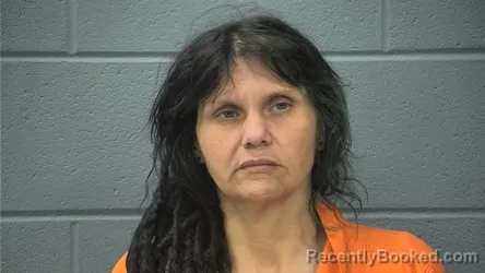 Mugshot of SARAH BETHANY COOK booked in Cass County, Indiana on May 29, 2026