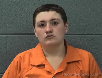 Mugshot of RANDI KAY WALLACE booked in Cass County, Indiana on June 29, 2026